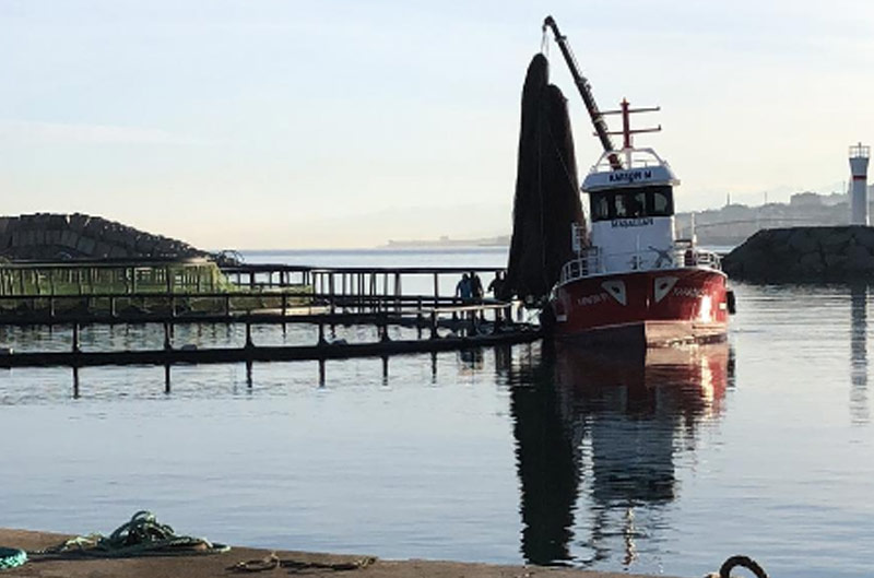 ASELKON Konya gemi vinci fiyatı, liman vinci, liman vinçleri, liman  imalatı imalatı, liman  imalatı fiyatları