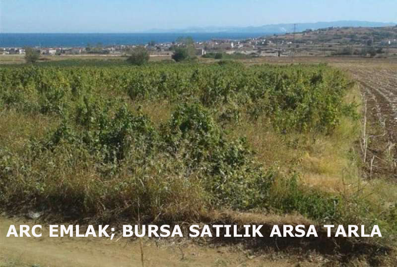 ARC EMLAK; Bursa satılık arsa, satılık tarla, sahibinden satılık arsa tarla bursa osmangazi yenişehir, satılık arsa tarla