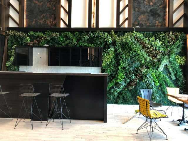 DECOTTA Konya Dikey Bahçe, kurutulmuş pampas, pampas otu vazo, büyük pampas, pampas ağacı