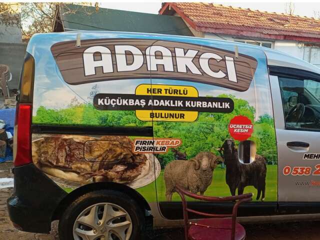 AYYILDIZ  Konya kurbanlık, kurbanlık satan yerler, konya kurbanlık satış yerleri, Konya kurbanlık 
