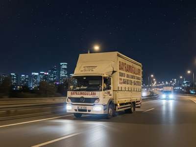 ALTAY Afyon Tel örgü tel çit Tarla bahçe çiti