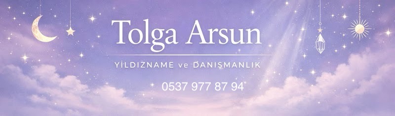 Tolga Arsun